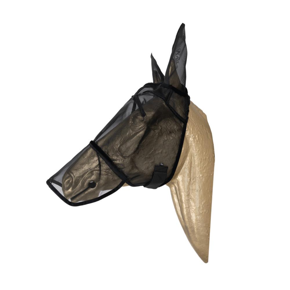 product/k/e/kentucky_42644-01-cob_2.jpg