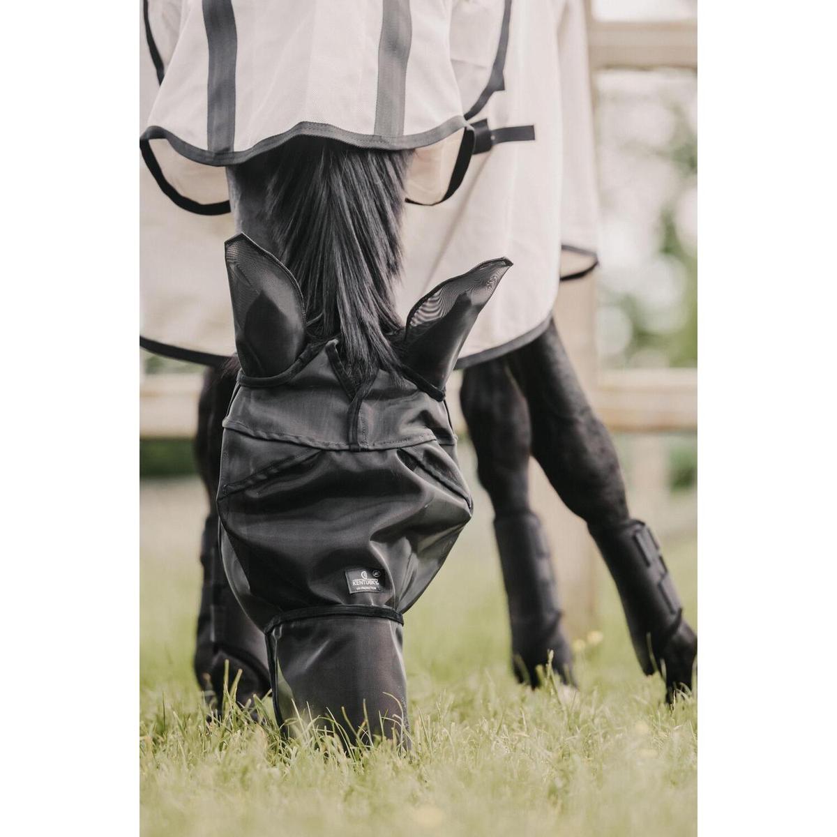 product/k/e/kentucky_42644-01-cob_5.jpg