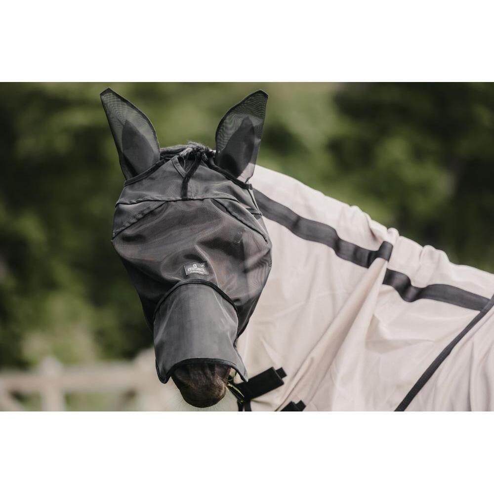 product/k/e/kentucky_42644-01-cob_9.jpg