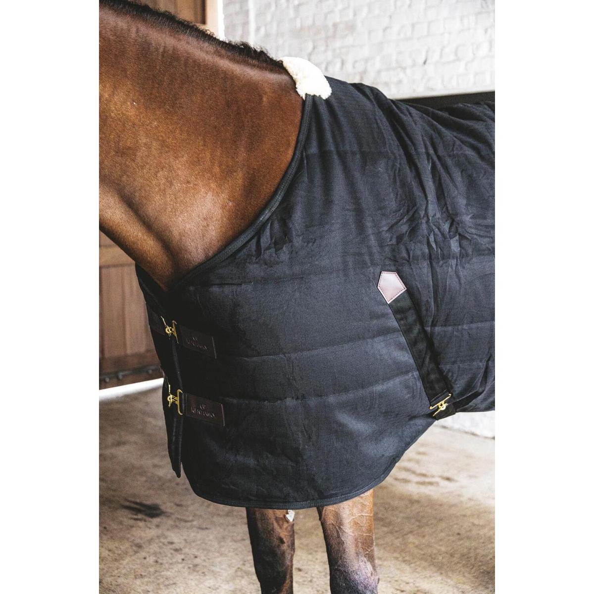 product/k/e/kentucky_52165-01-165_black-noir-black_4.jpg