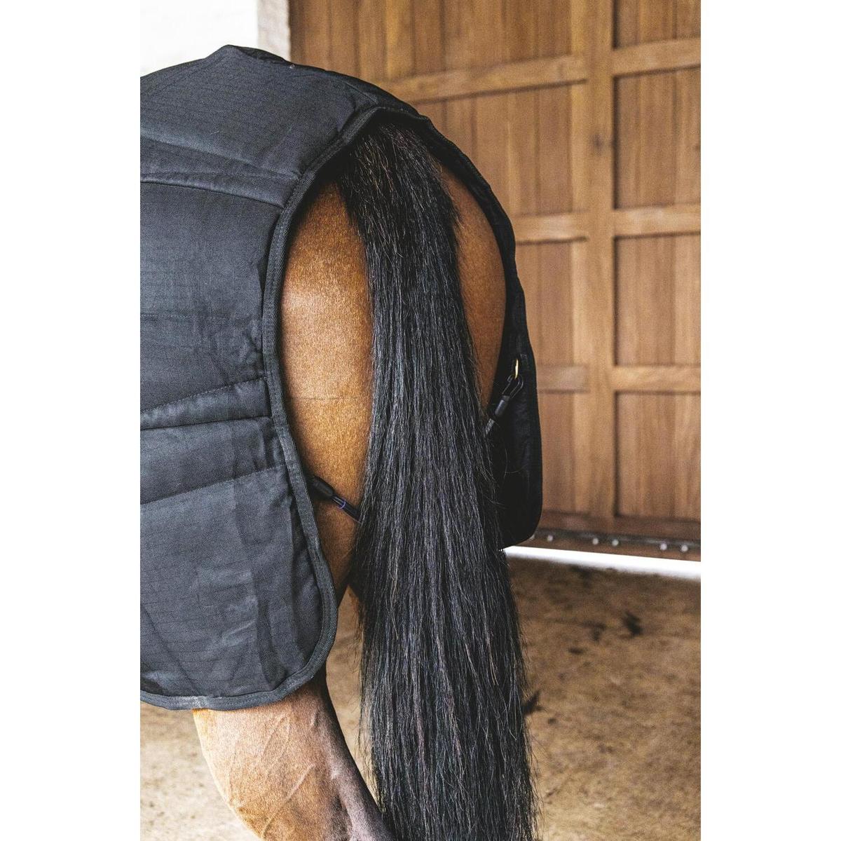 product/k/e/kentucky_52165-01-165_black-noir-black_6.jpg