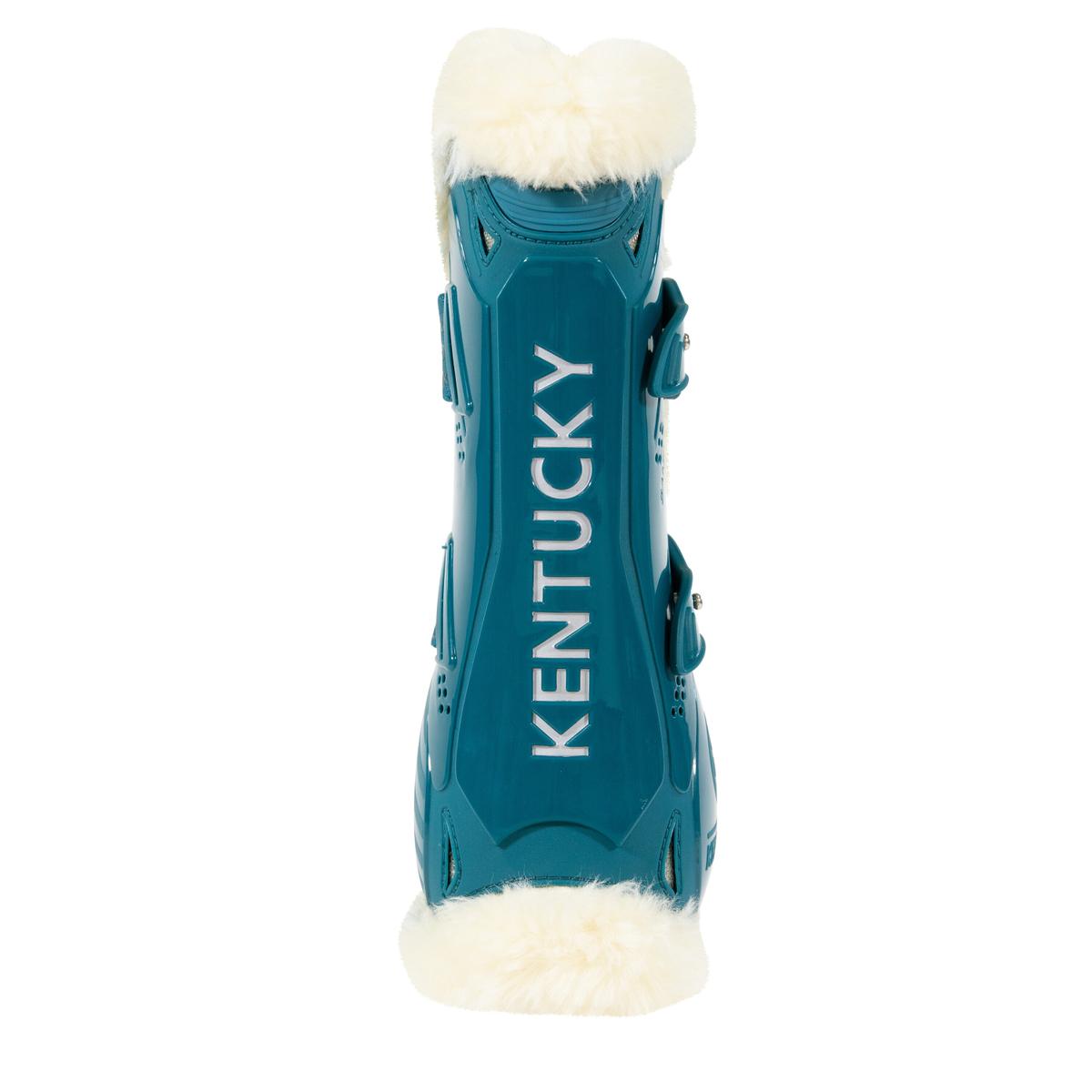 product/k/e/kentucky_88102-71_3.jpg