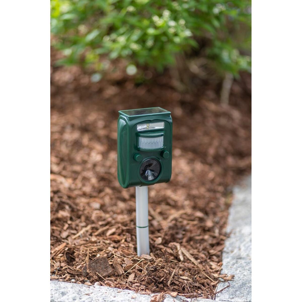 product/k/e/kerbl_299906_noir-vert_7.jpg
