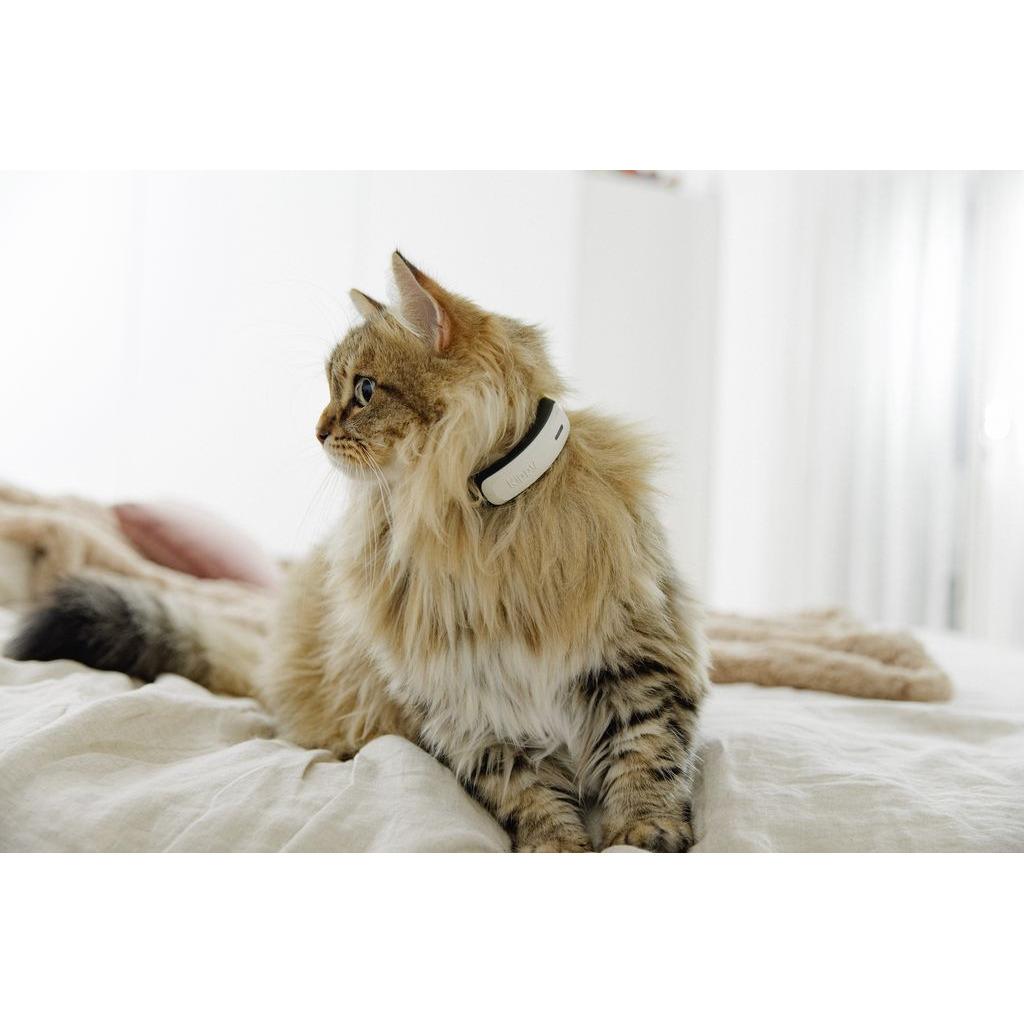 product/k/i/kippy_cy0535_3.jpg