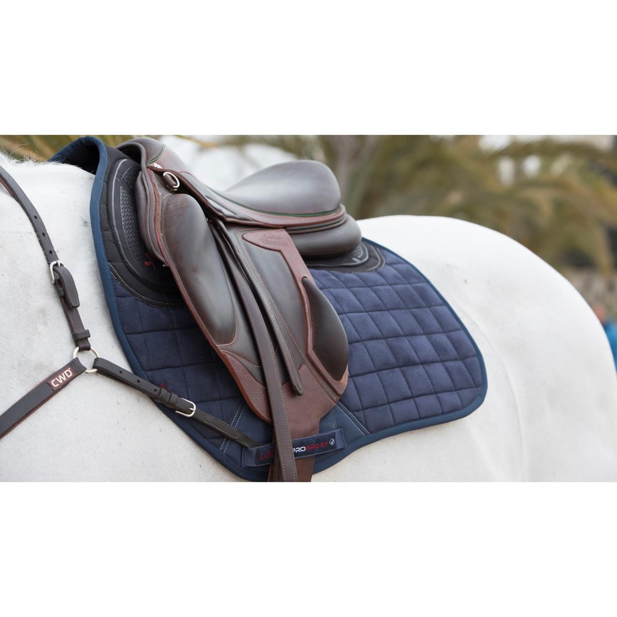product/l/e/lemieux_it01427_1.jpg