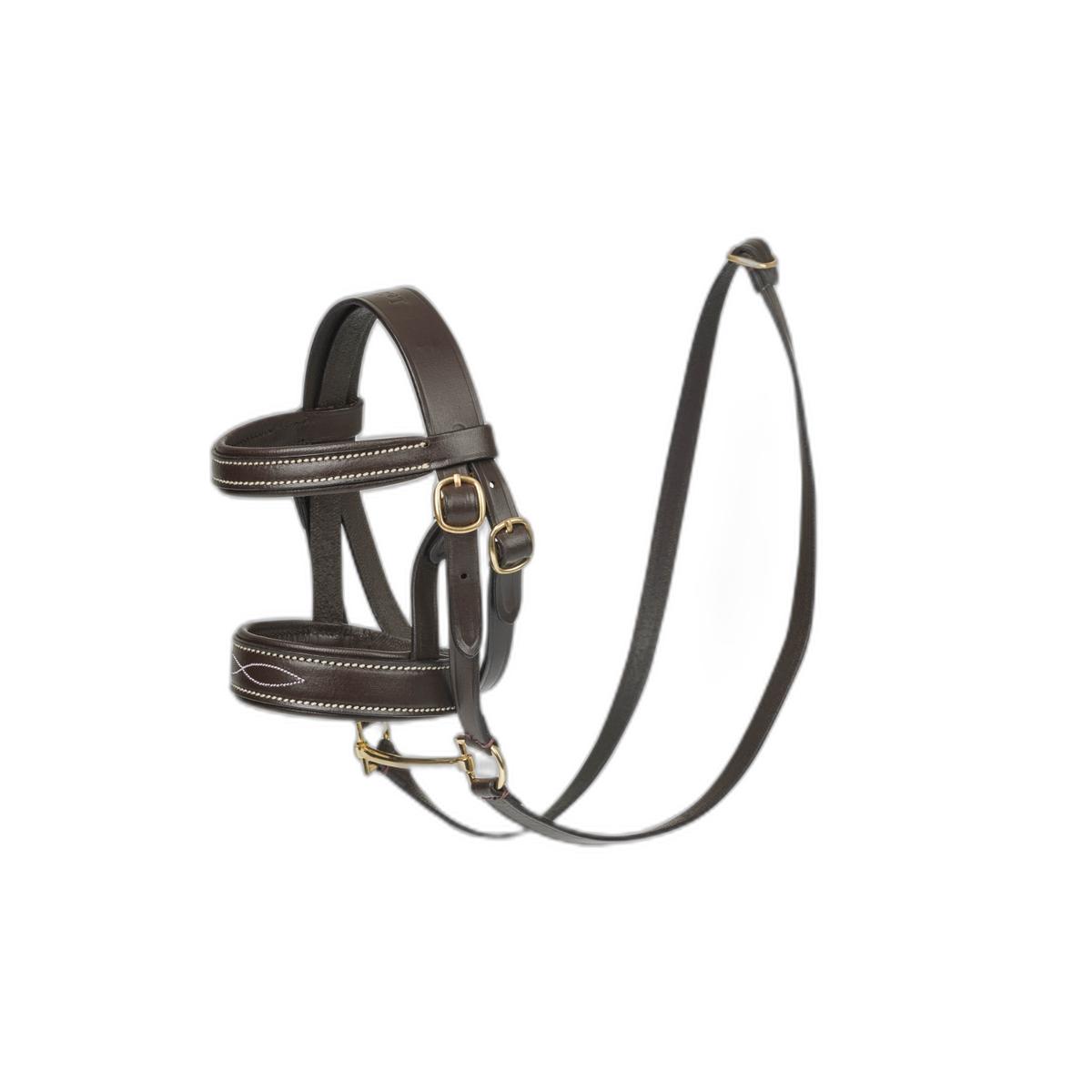 product/l/e/lemieux_it03312001_0.jpg
