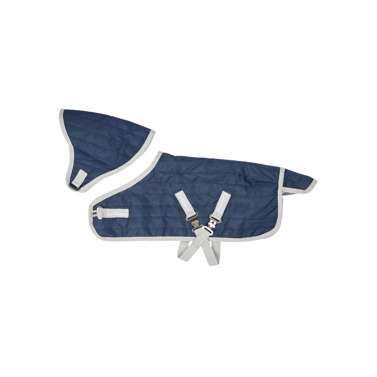 product/l/e/lemieux_it03742001_2.jpg