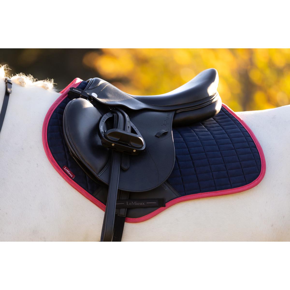 product/l/e/lemieux_it08144_005.jpg