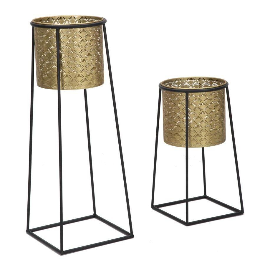 product/m/a/mauro-ferretti_1422940000_black-gold_1.jpg