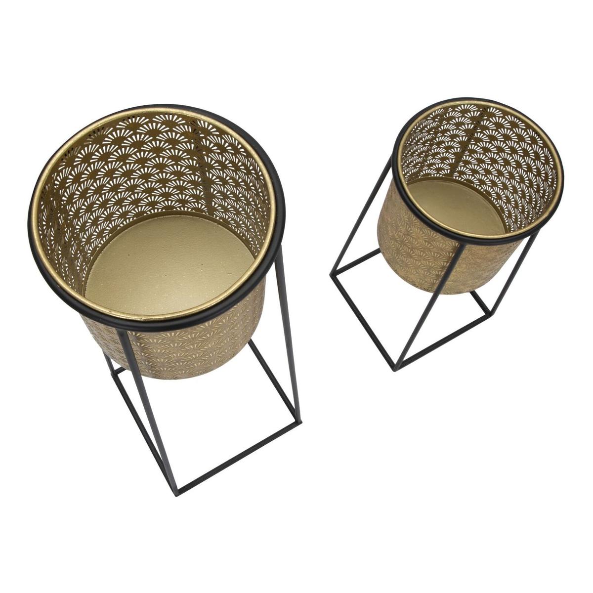 product/m/a/mauro-ferretti_1422940000_black-gold_4.jpg