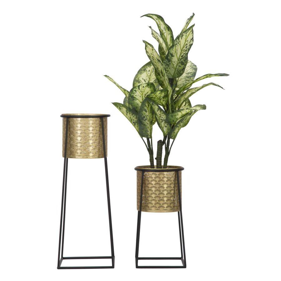 product/m/a/mauro-ferretti_1422940000_black-gold_5.jpg