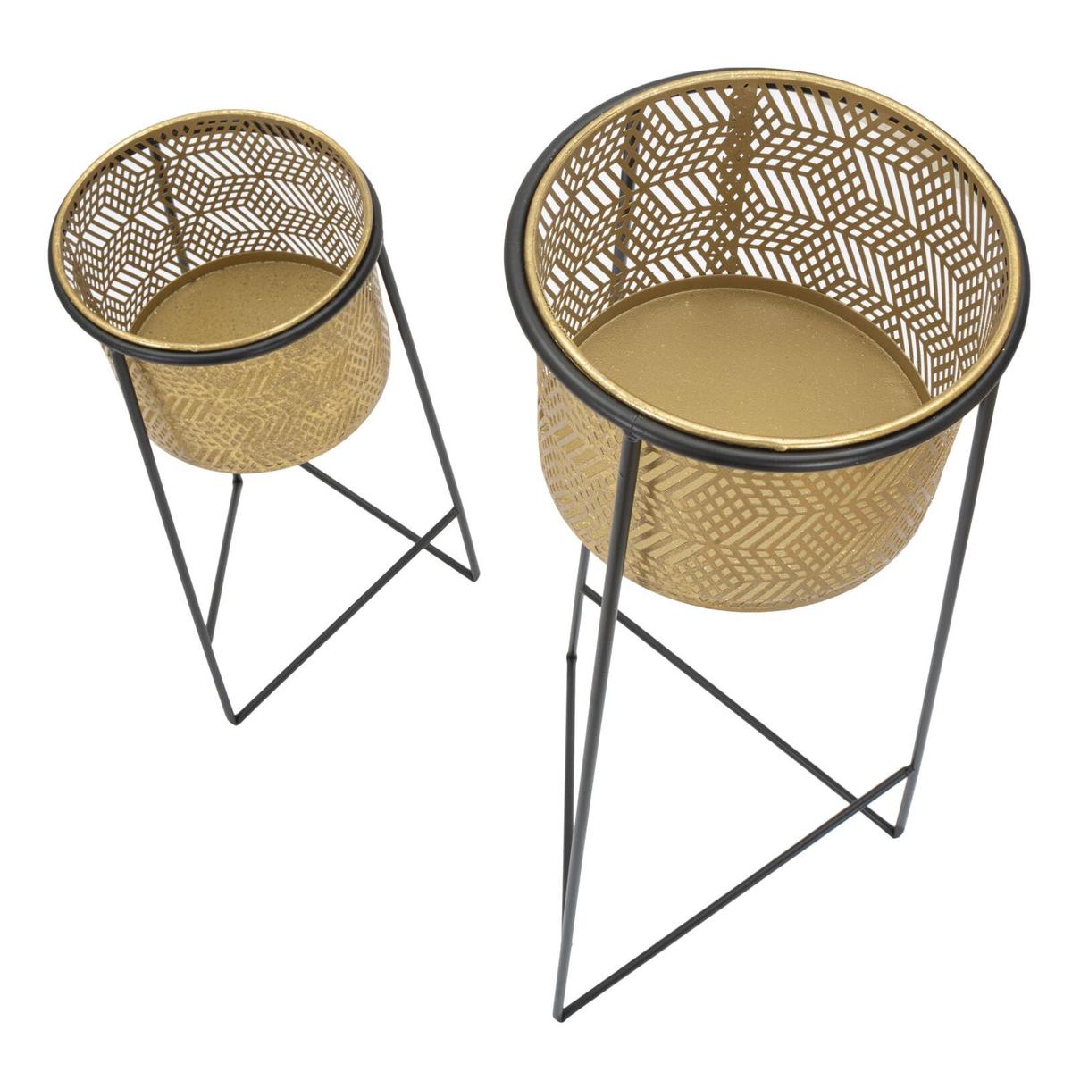 product/m/a/mauro-ferretti_1423920000_gold-black_2.jpg