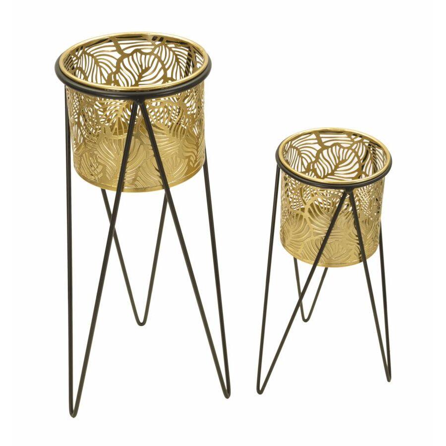 product/m/a/mauro-ferretti_1427890000_black-gold_2.jpg