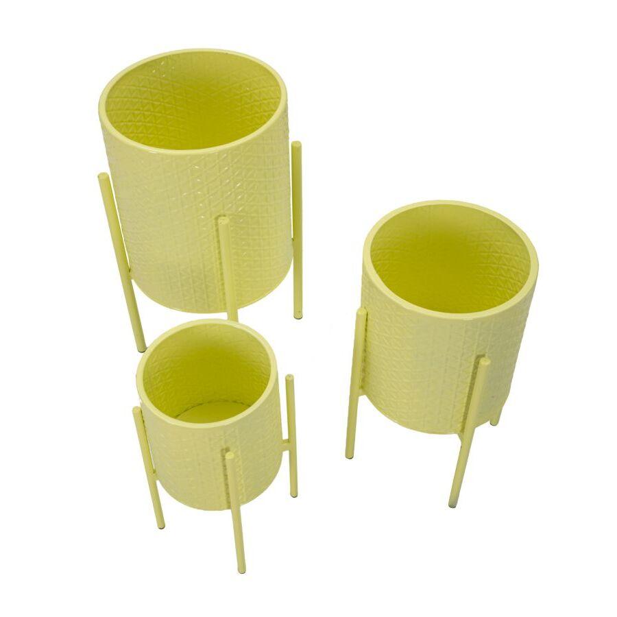 product/m/a/mauro-ferretti_1428480000_yellow_4.jpg
