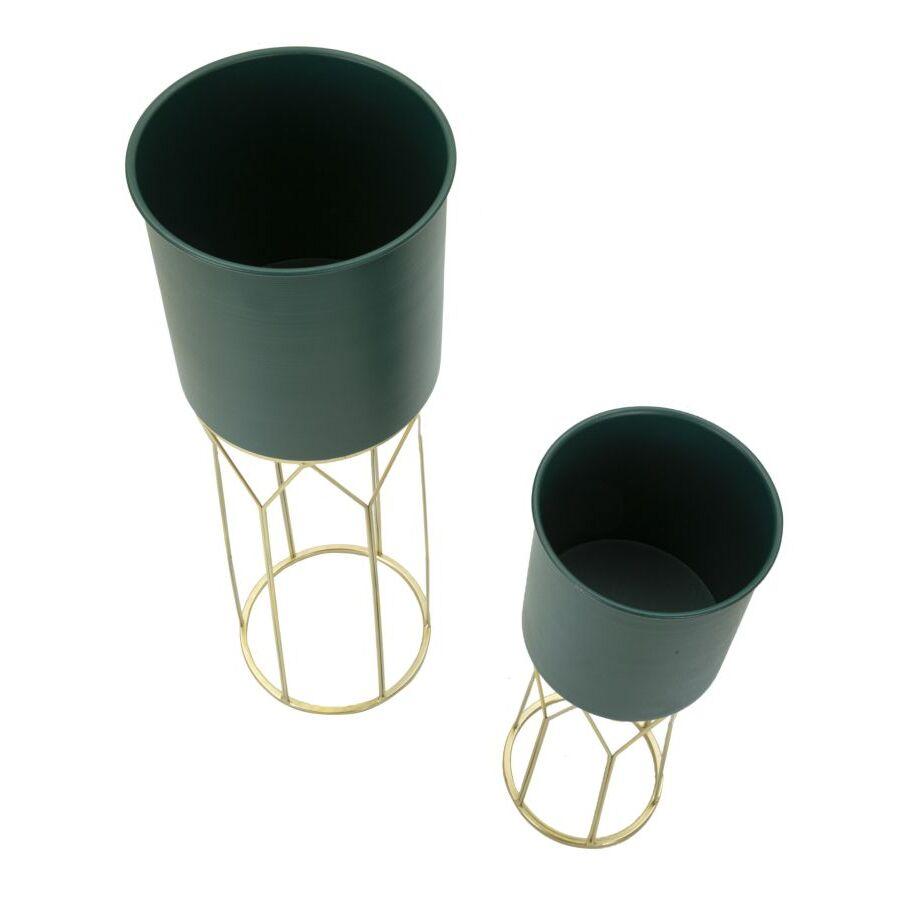 product/m/a/mauro-ferretti_1428580000_green-gold_2.jpg