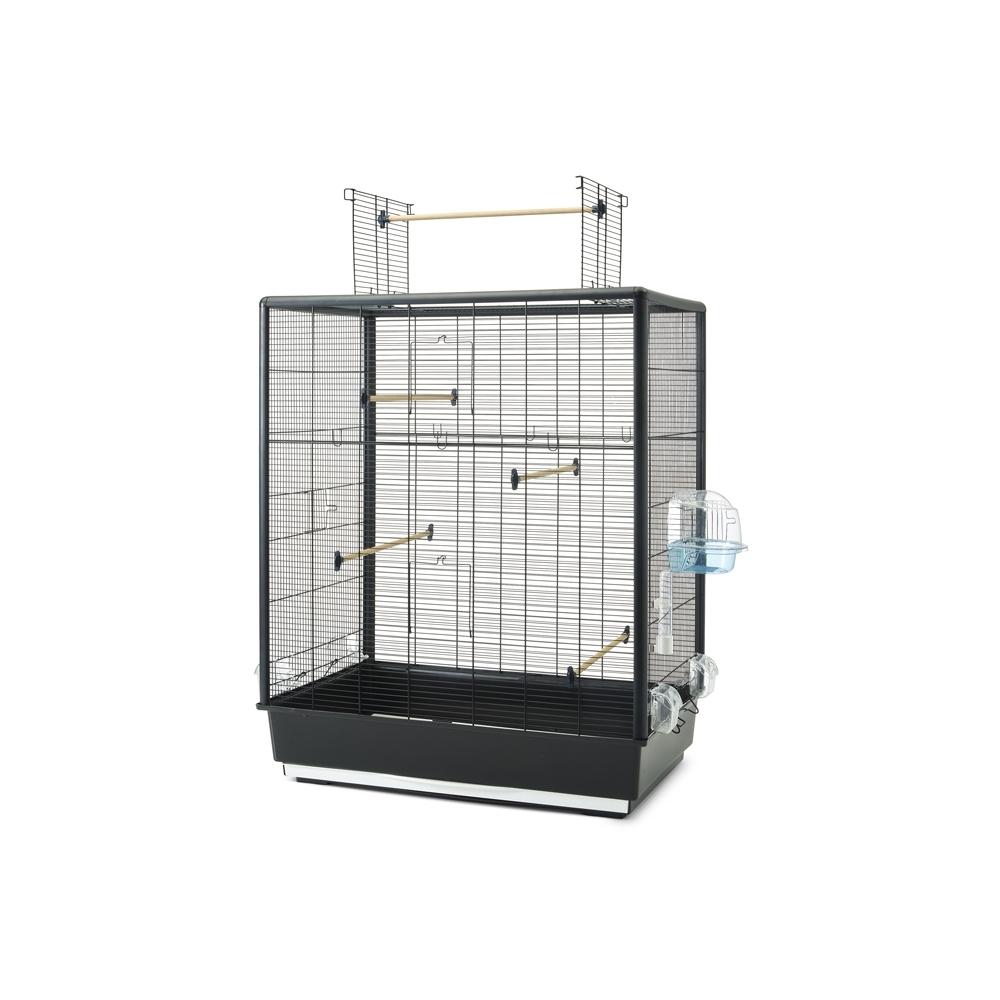 product/n/o/nobby-pet_20711.jpg