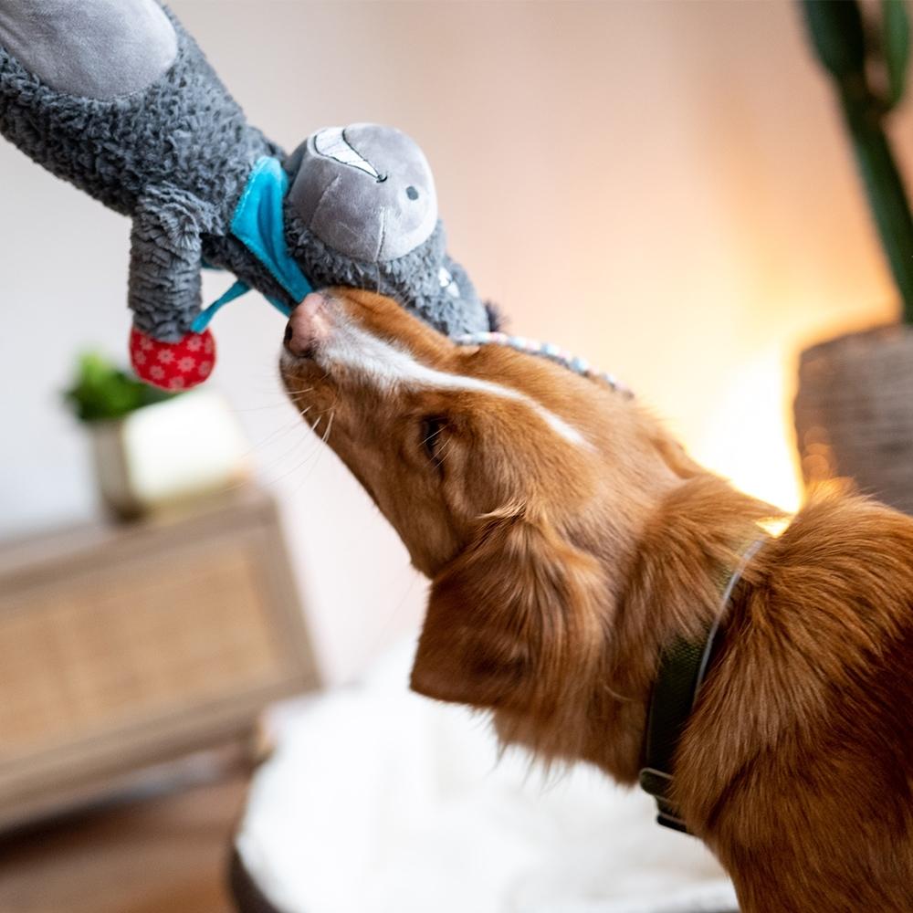 product/n/o/nobby-pet_50518_1.jpg