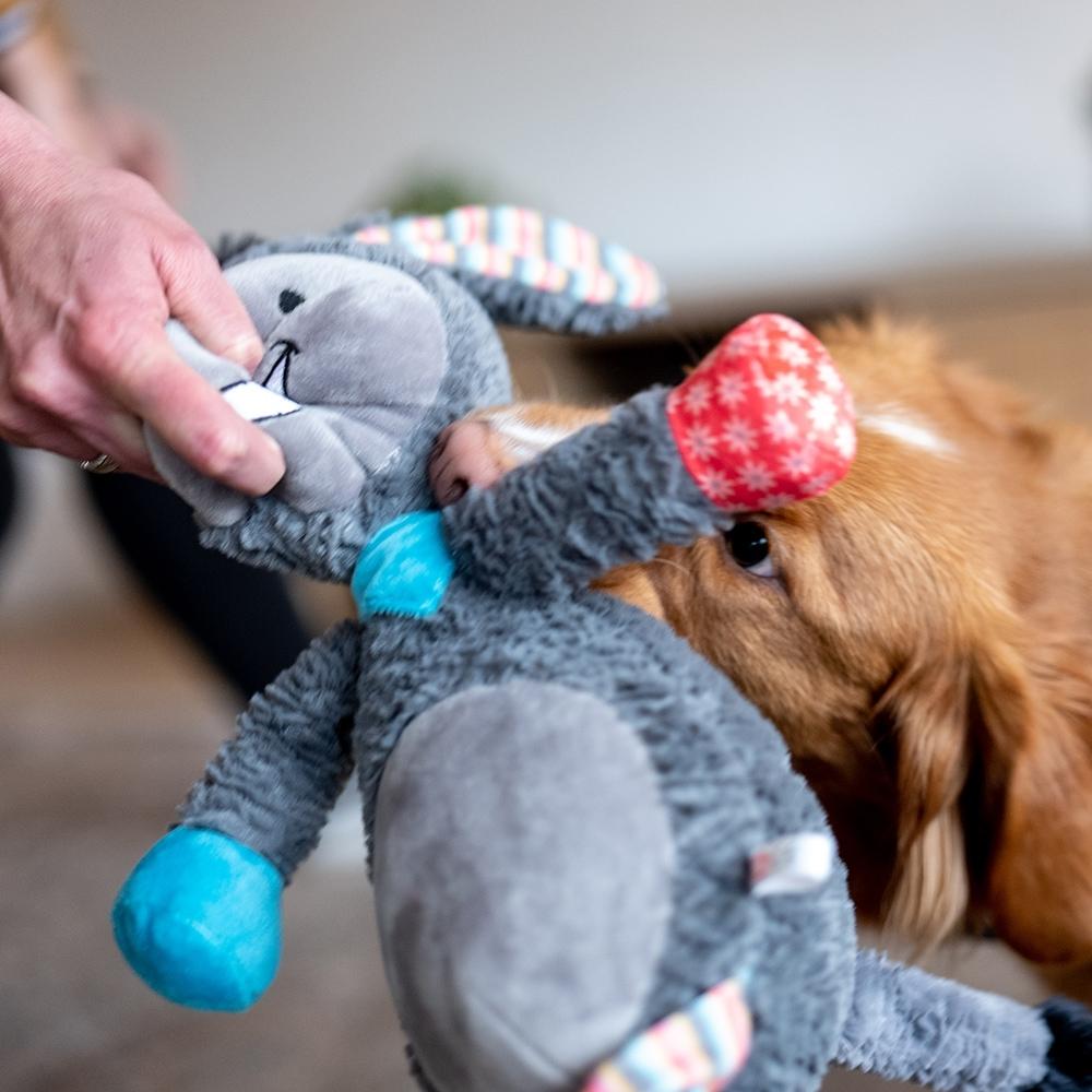 product/n/o/nobby-pet_50518_2.jpg