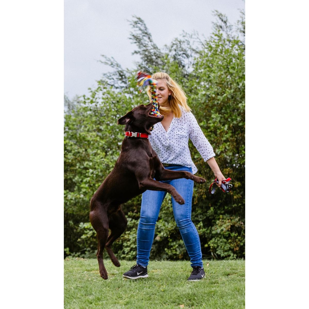 product/n/o/nobby-pet_72493_1.jpg