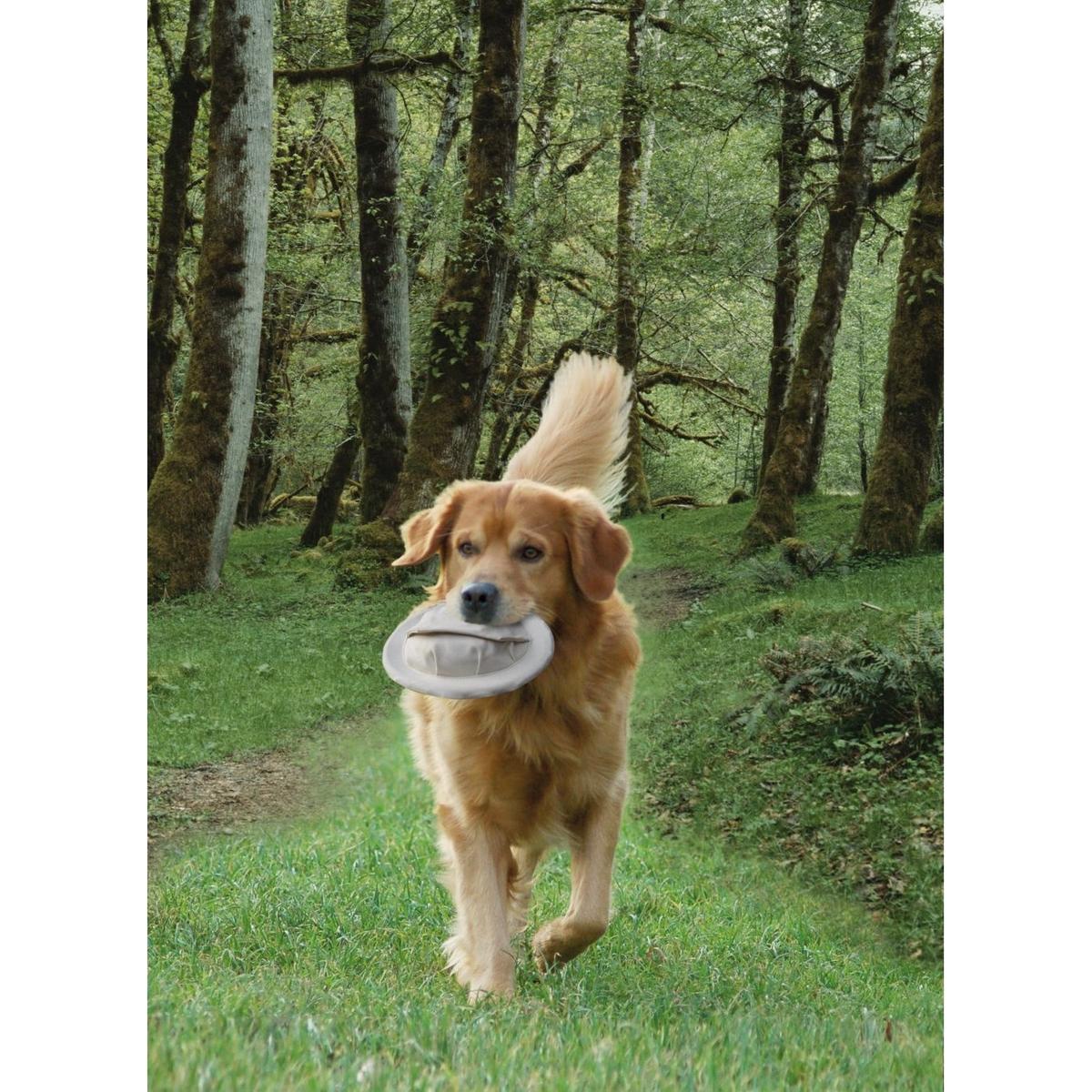 product/n/o/nobby-pet_79319_2.jpg