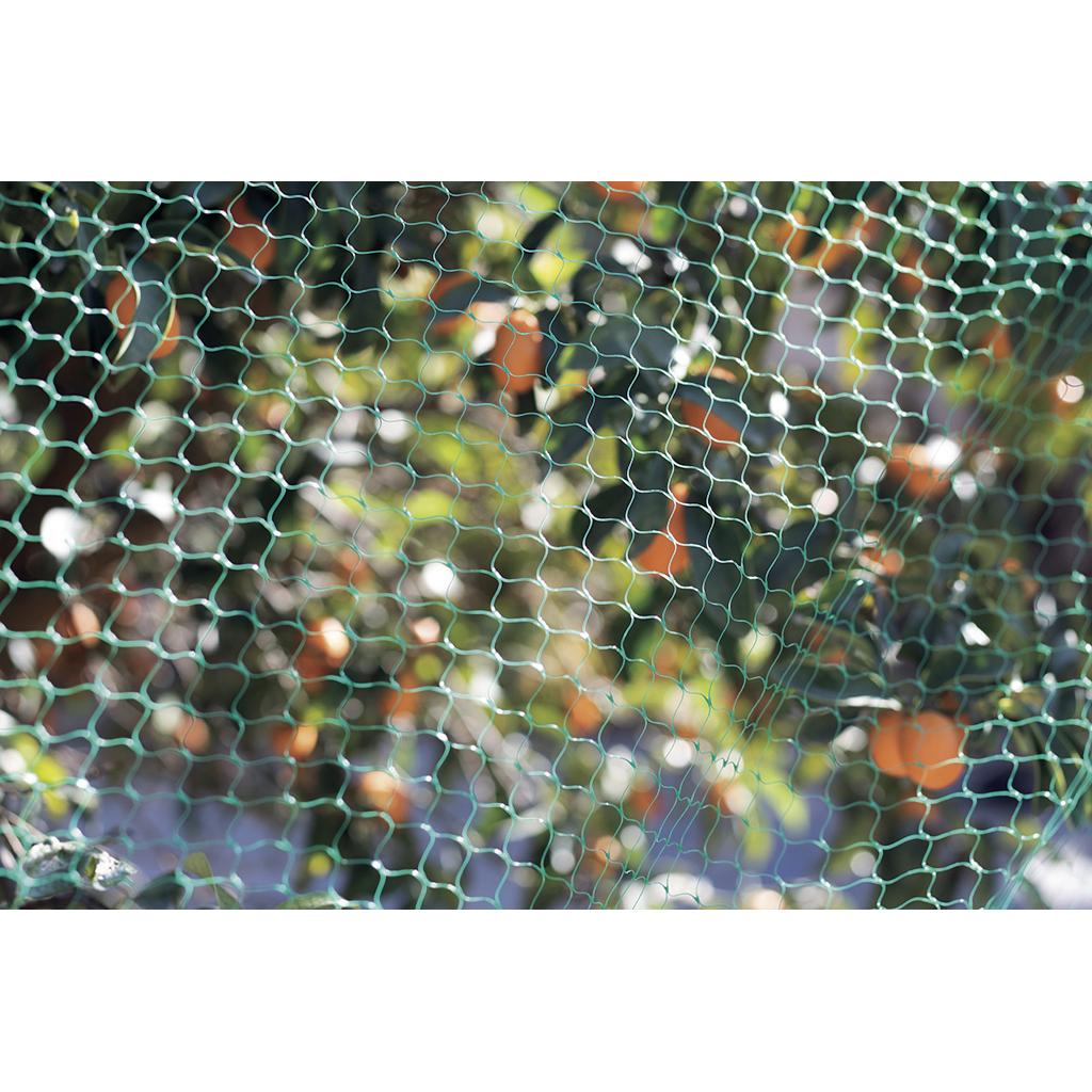 product/n/o/nortene_120010_green_6.jpg