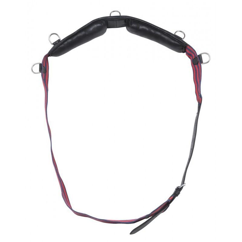 product/n/o/norton-club_401039.jpg