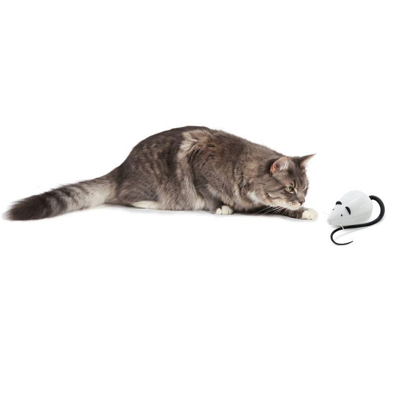 product/p/e/petsafe_cy1156_2.jpg