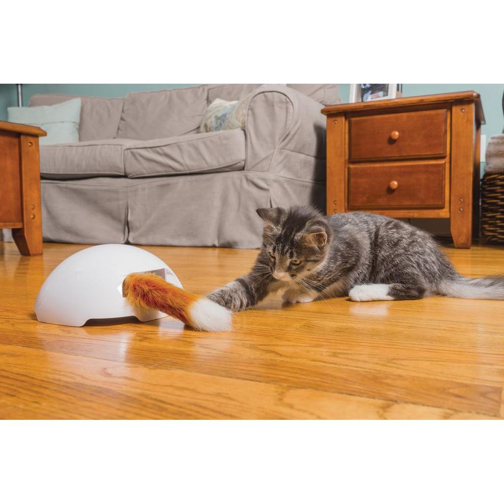 product/p/e/petsafe_cy2221_3.jpg