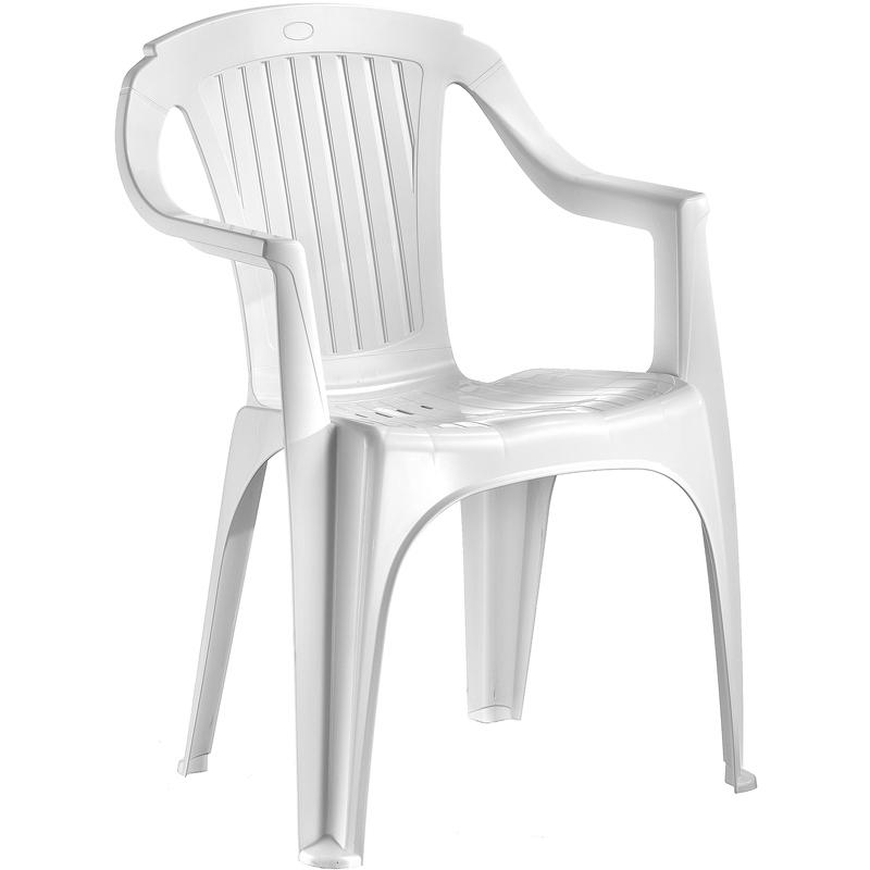 product/p/l/plastica-alto-sele_a2300193.jpg