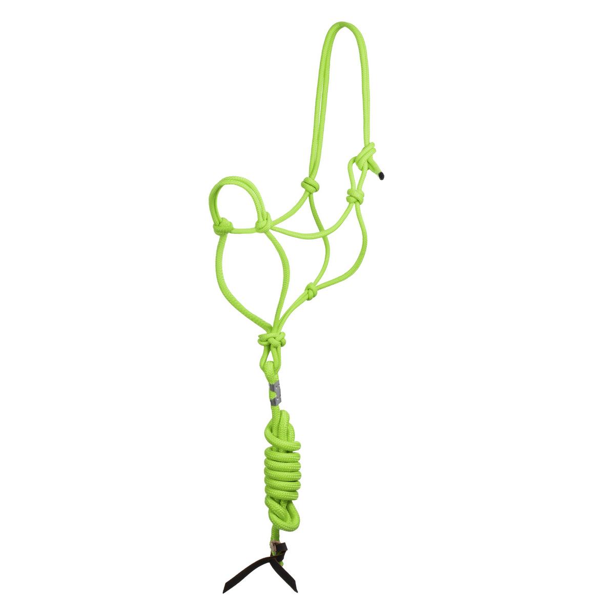 product/p/o/pool-s_ca00128-lime_lime_1.jpg