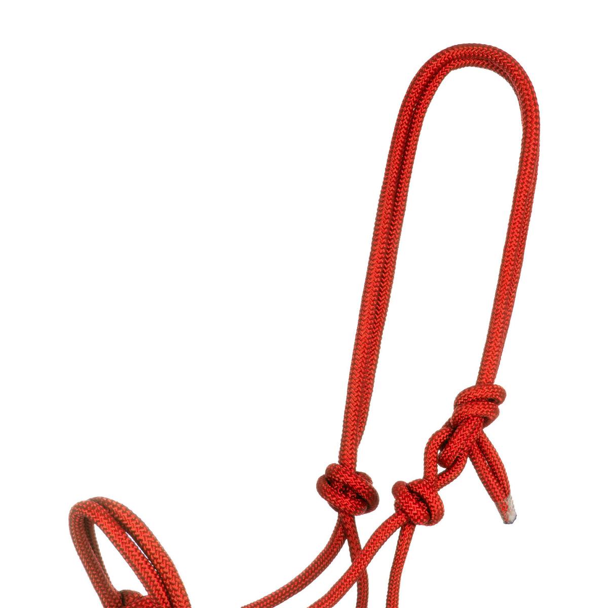 product/p/o/pool-s_ca00128-red_red_2.jpg