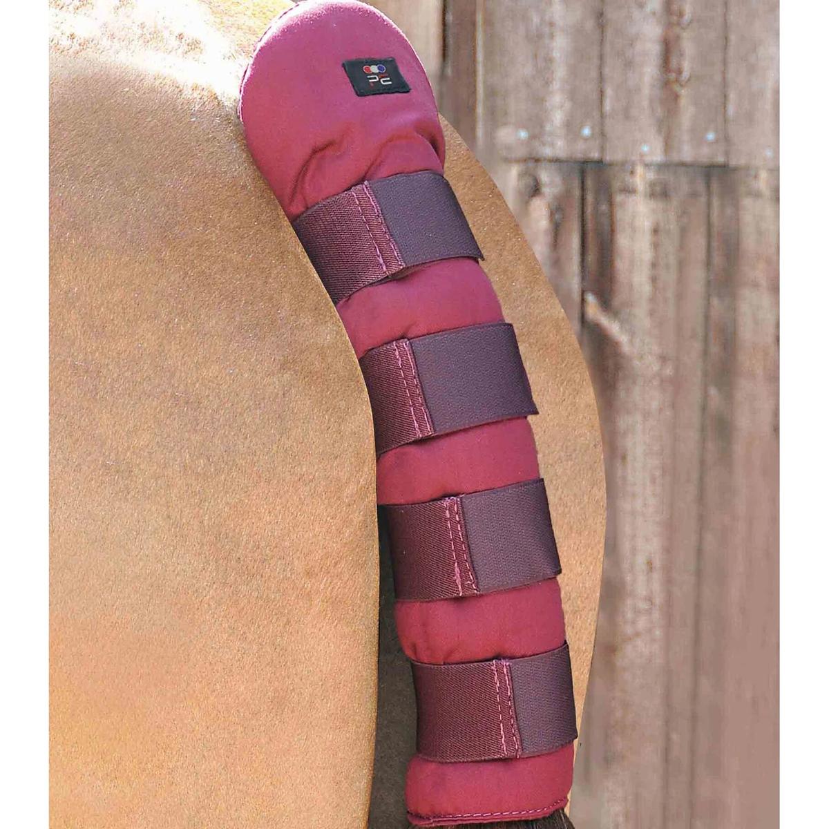 product/p/r/premier-equine_6012brg_1.jpg