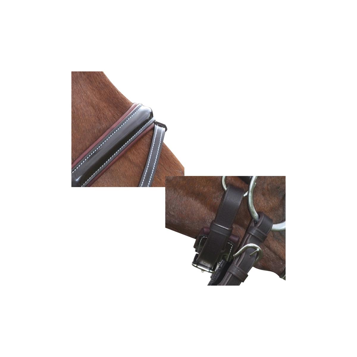 product/p/r/privilege-equitation_161134-marron_2.jpg