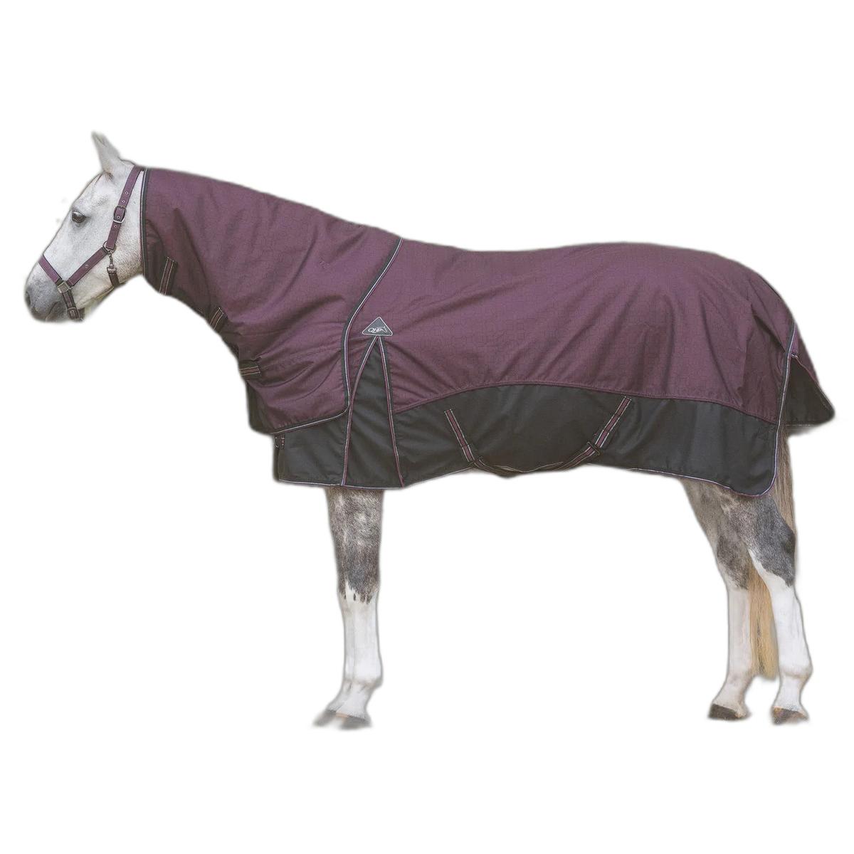 product/q/h/qhp_6384-wro_wine-red_2.jpg