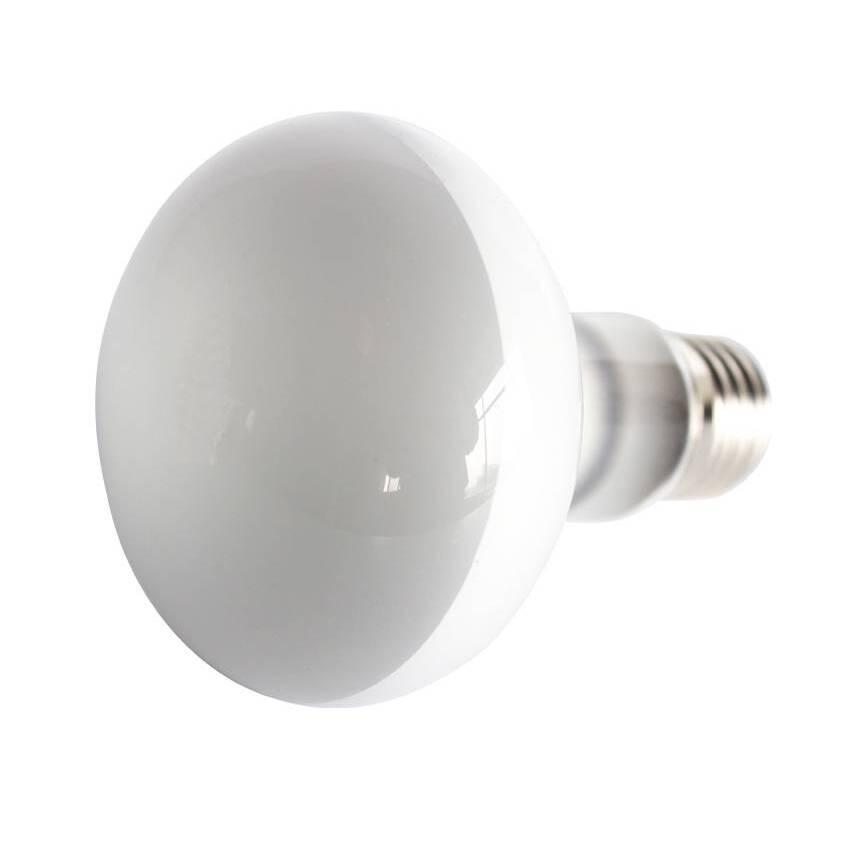 product/r/e/reptiles-planet_rp870452_blanc_2.jpg