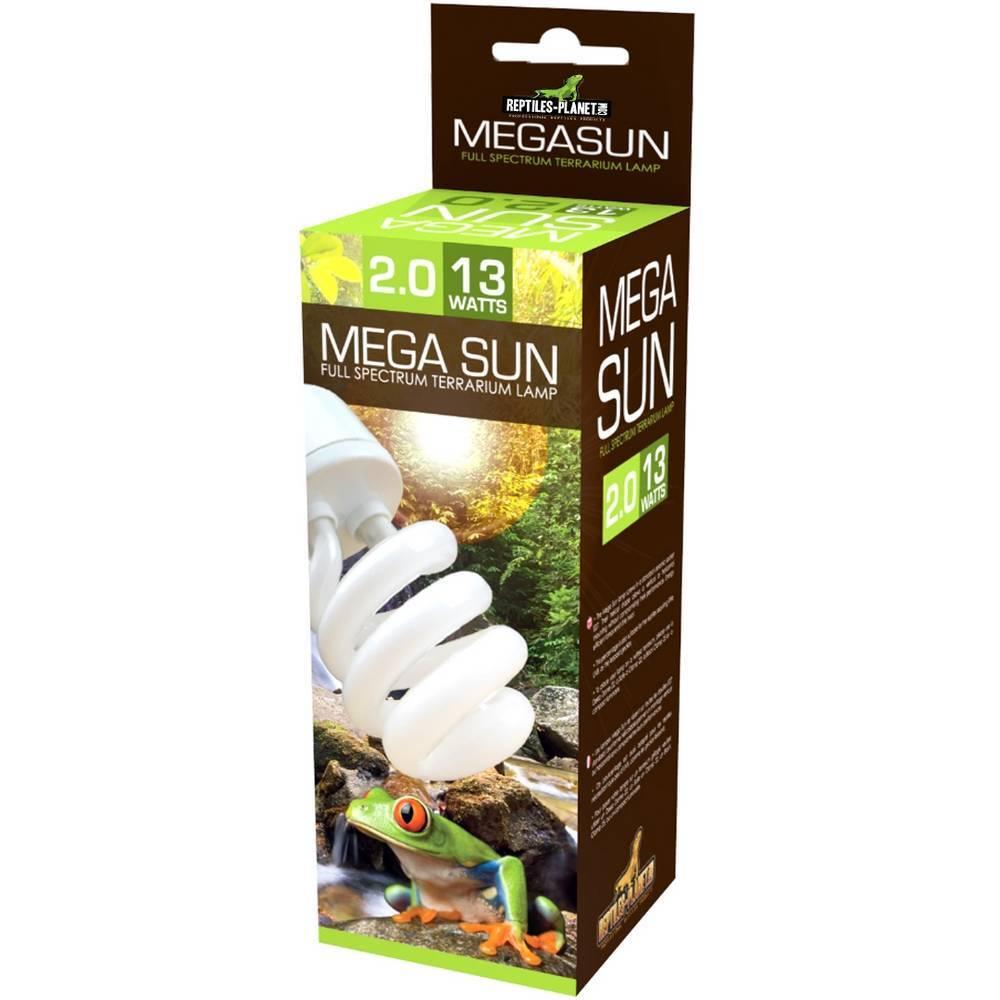 product/r/e/reptiles-planet_rp870570_blanc_1.jpg