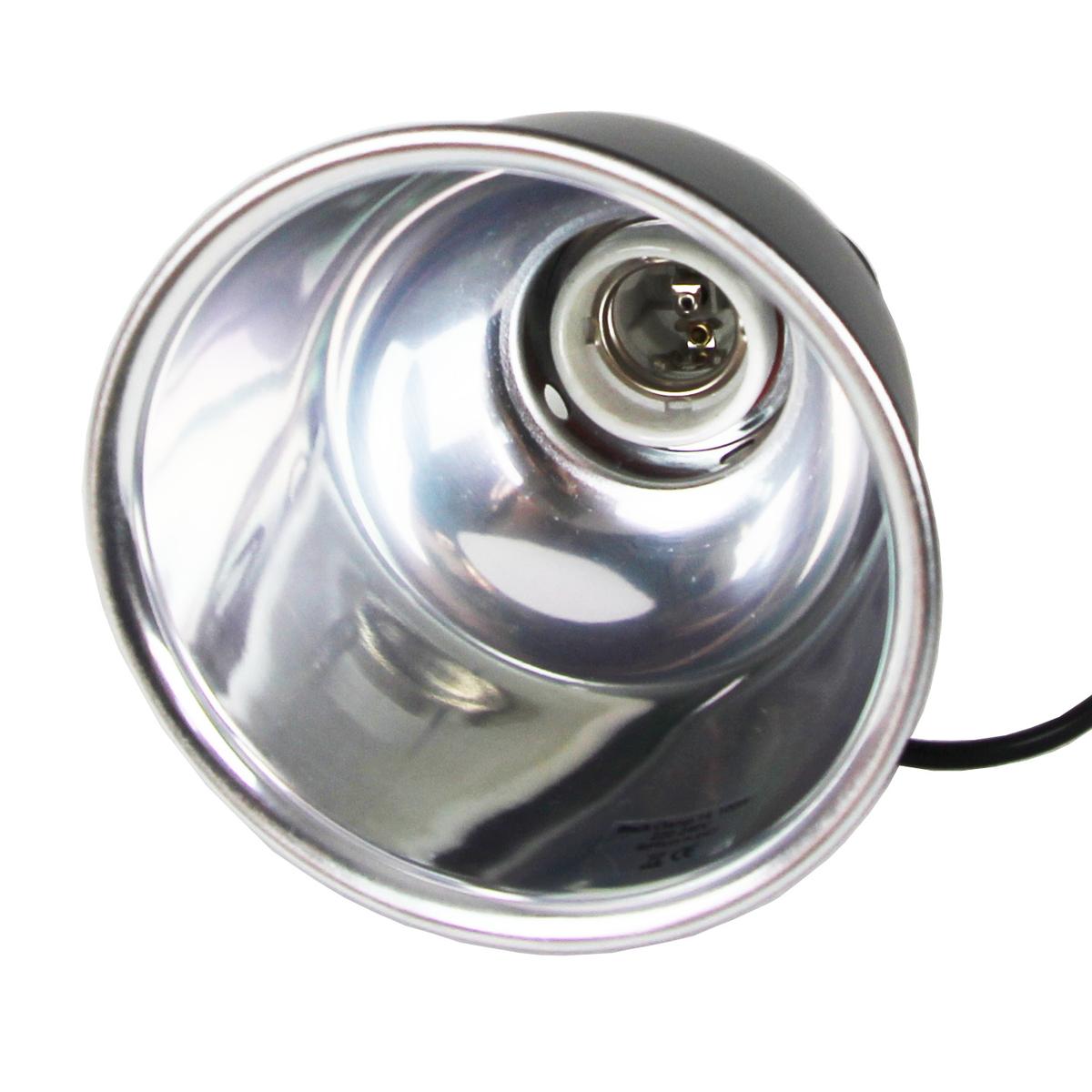 product/r/e/reptiles-planet_rp870845_blanc-noir_4.jpg
