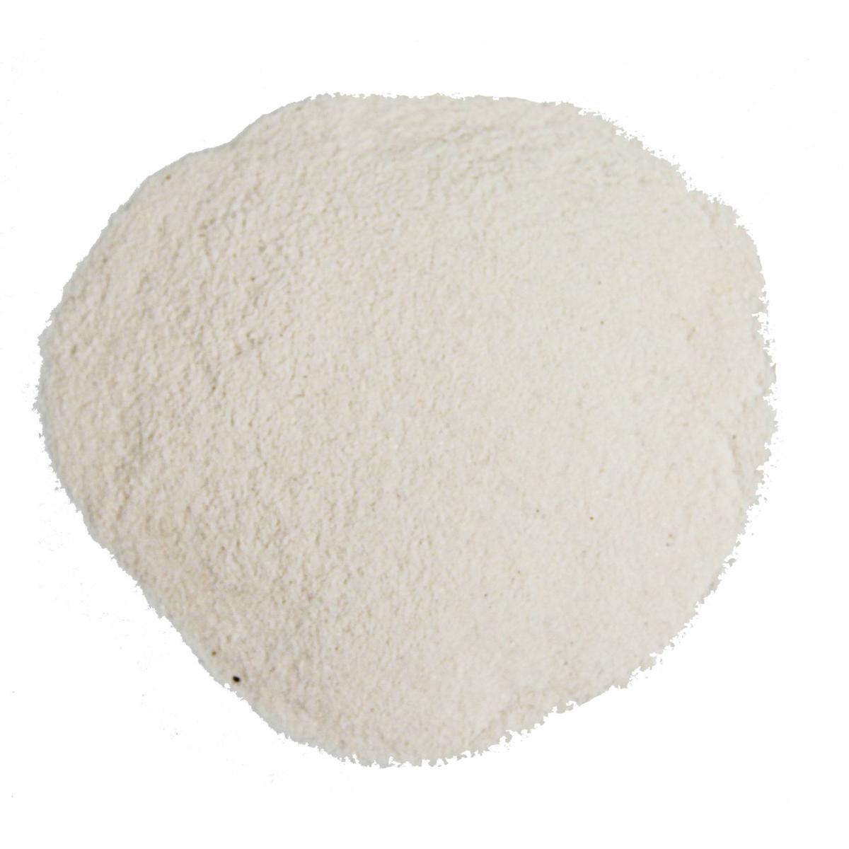 product/r/e/reptiles-planet_rp875820_cream_2.jpg