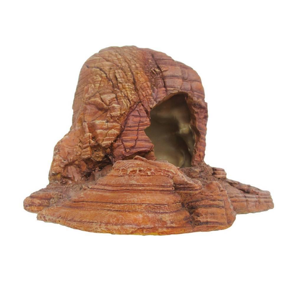product/r/e/reptiles-planet_rp876188_marron_1.jpg