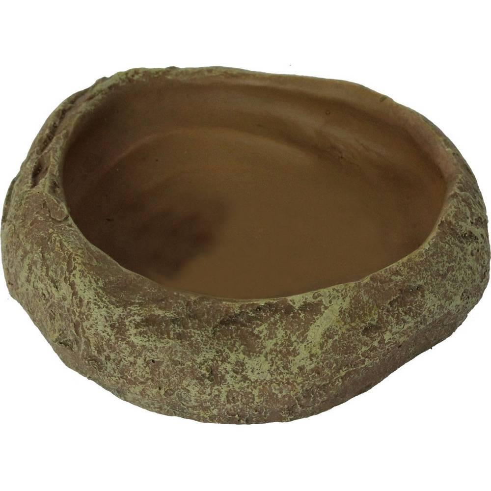 product/r/e/reptiles-planet_rp876218_vert_1.jpg