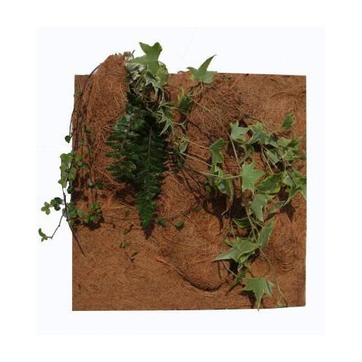 product/r/e/reptiles-planet_rp890550_marron_2.jpg