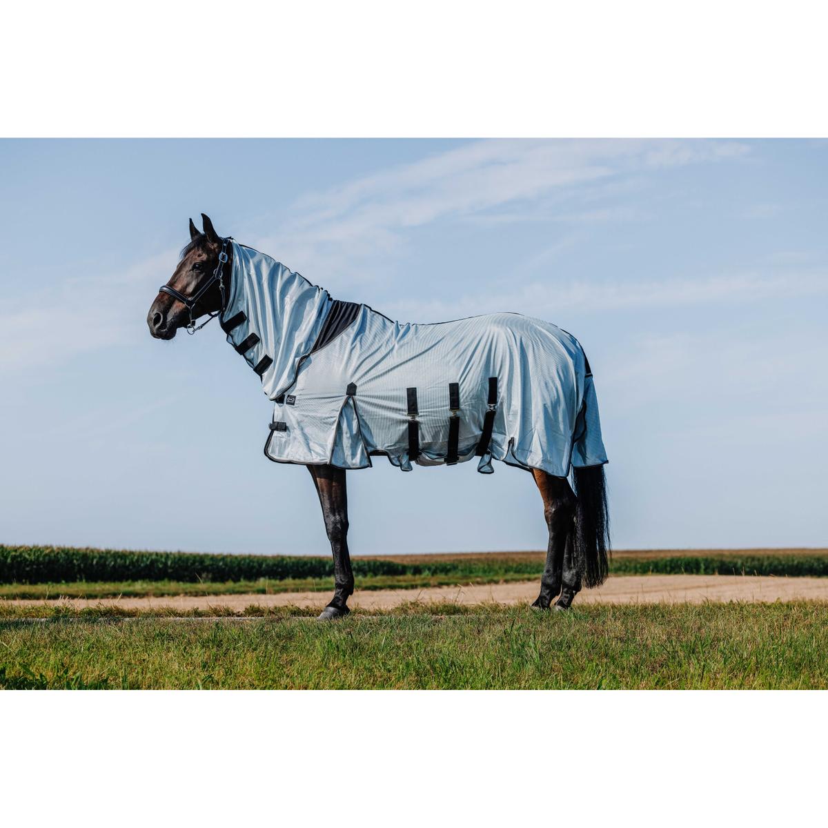 product/r/i/riding-world_400724056_gris_1.jpg