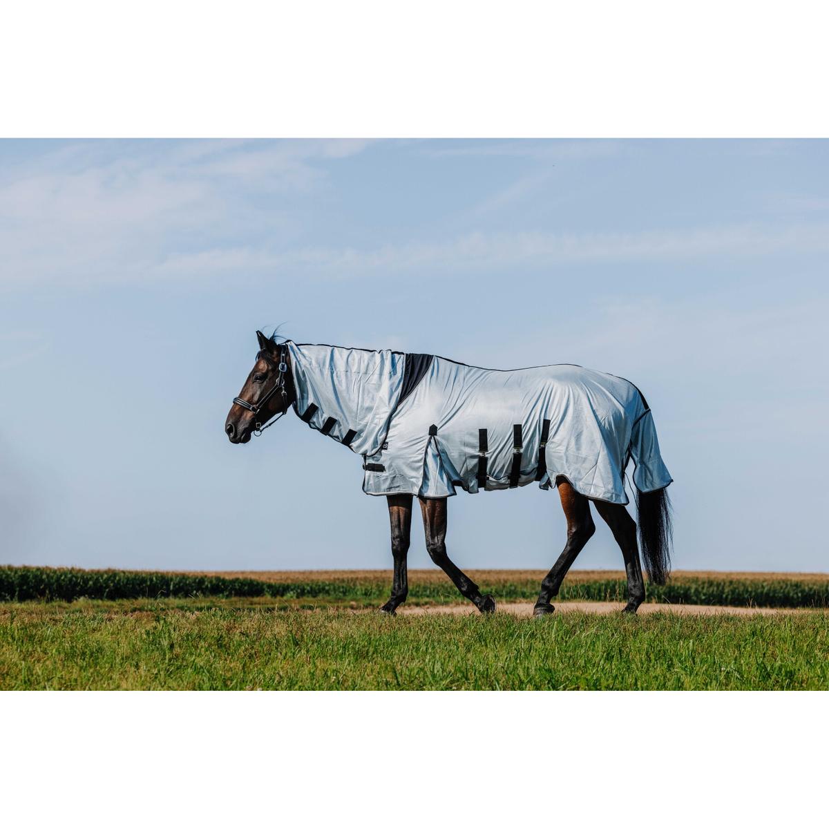 product/r/i/riding-world_400724056_gris_2.jpg