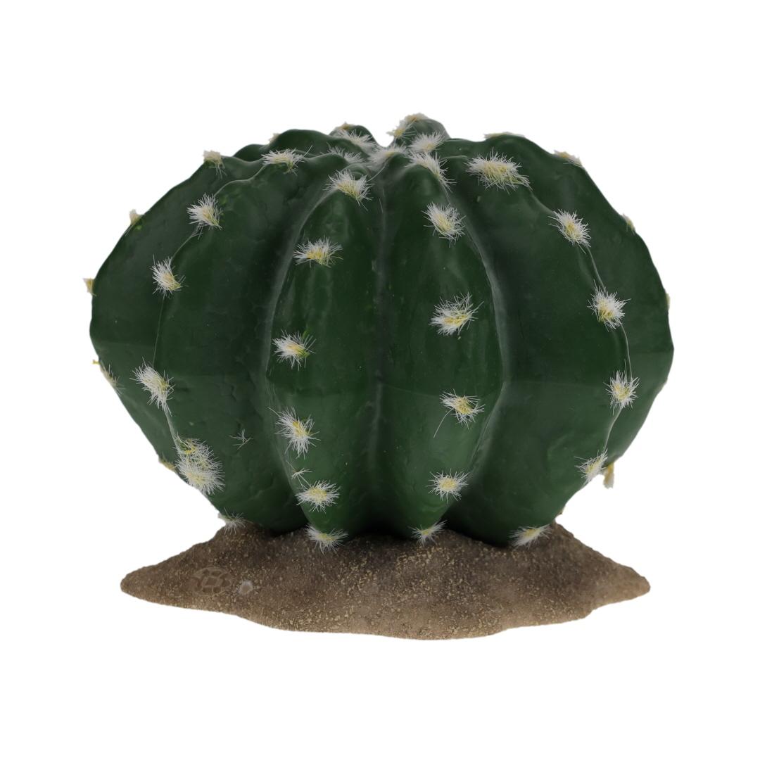 product/t/e/terra-della_243-482698_0.jpg
