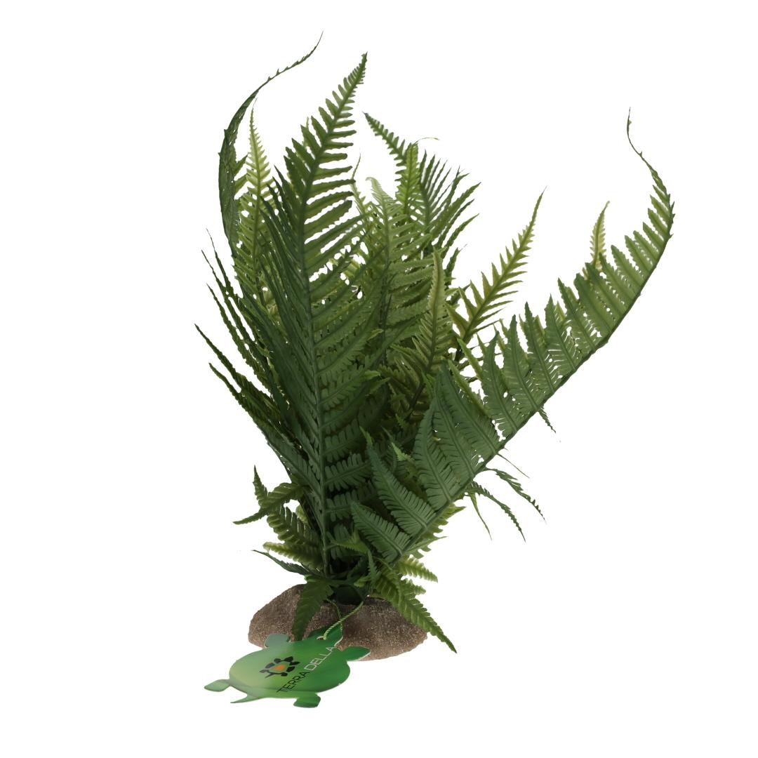 product/t/e/terra-della_243-482780_1.jpg