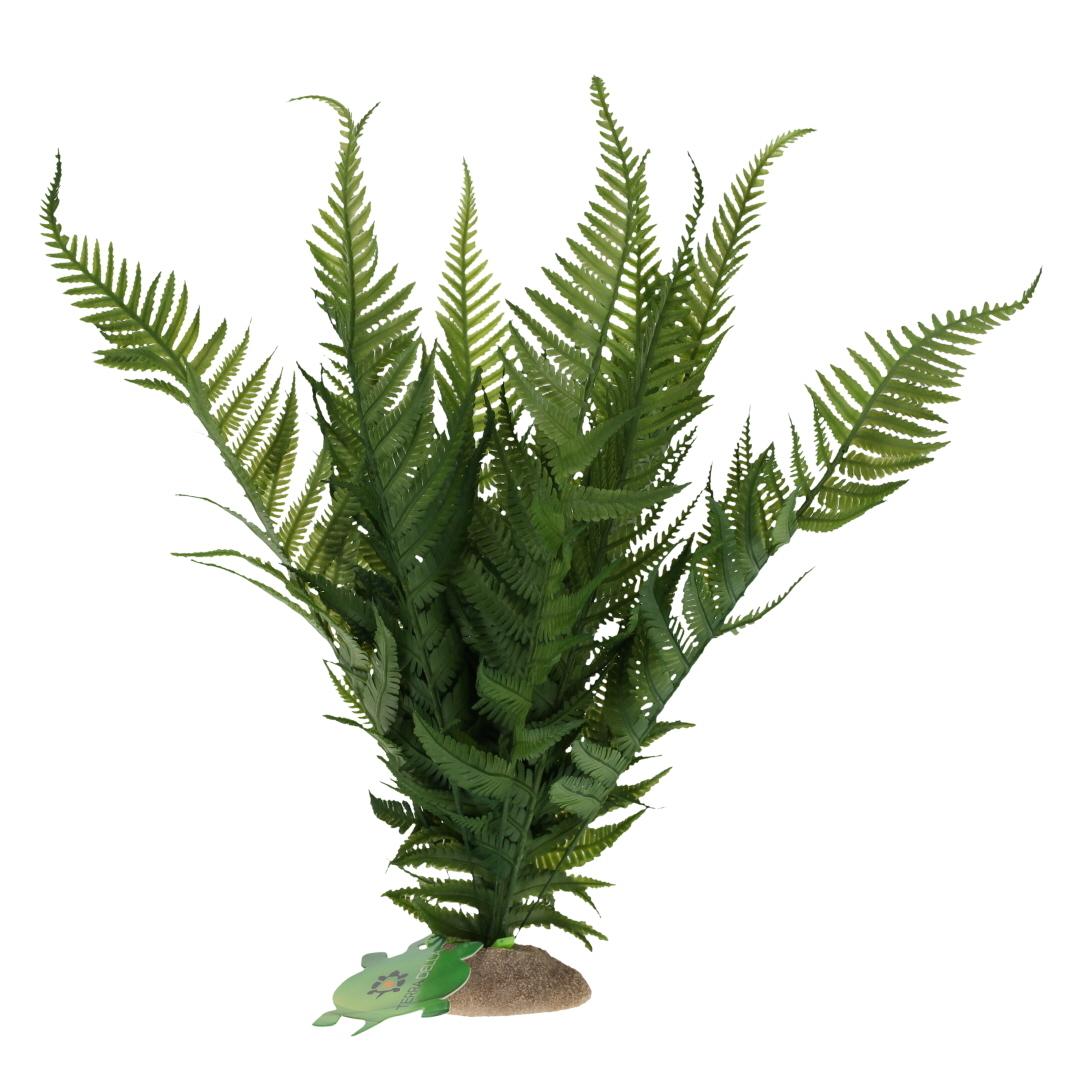 product/t/e/terra-della_243-482780_2.jpg