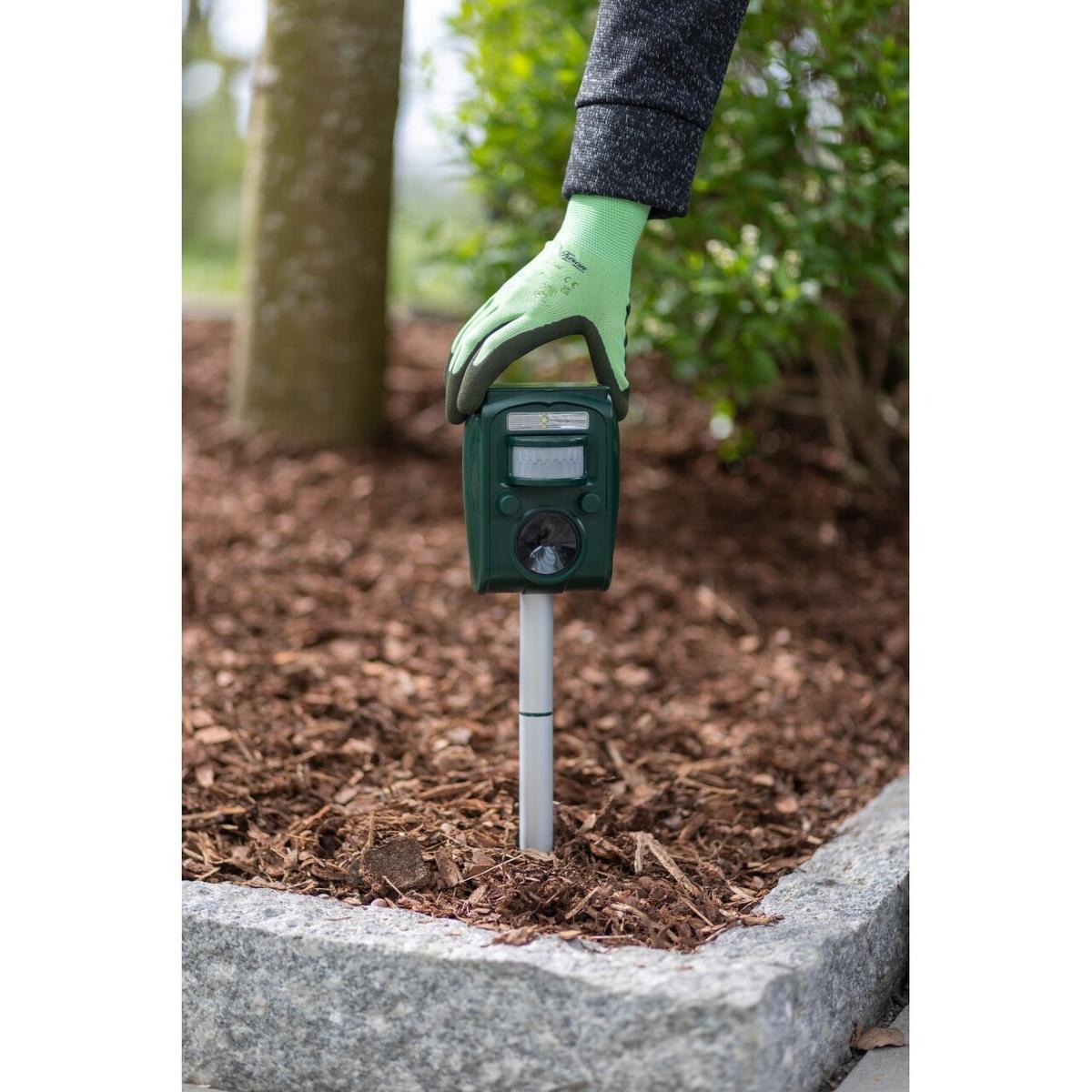 product/t/h/thinkgreen_298016_3.jpg