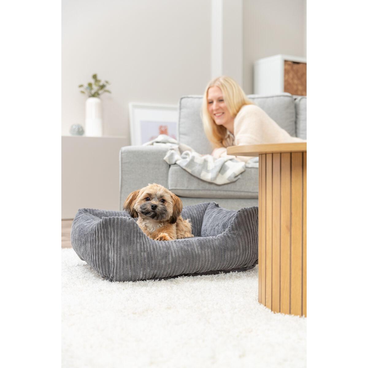 product/t/r/trixie_372770_gris-fonce_3.jpg