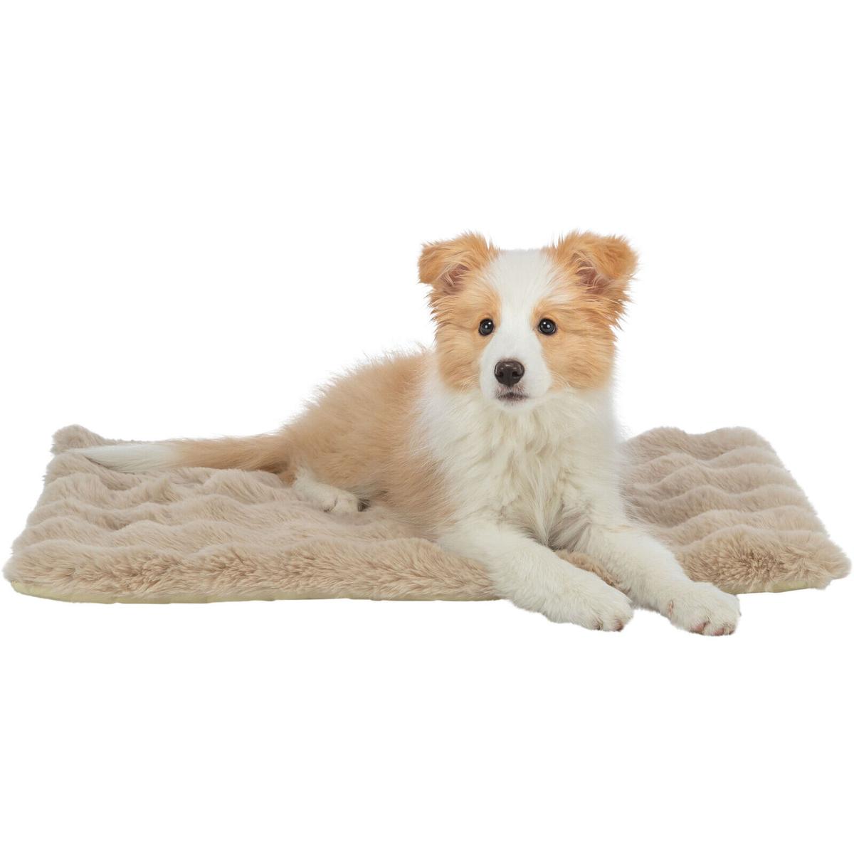 product/t/r/trixie_374100_sable_3.jpg