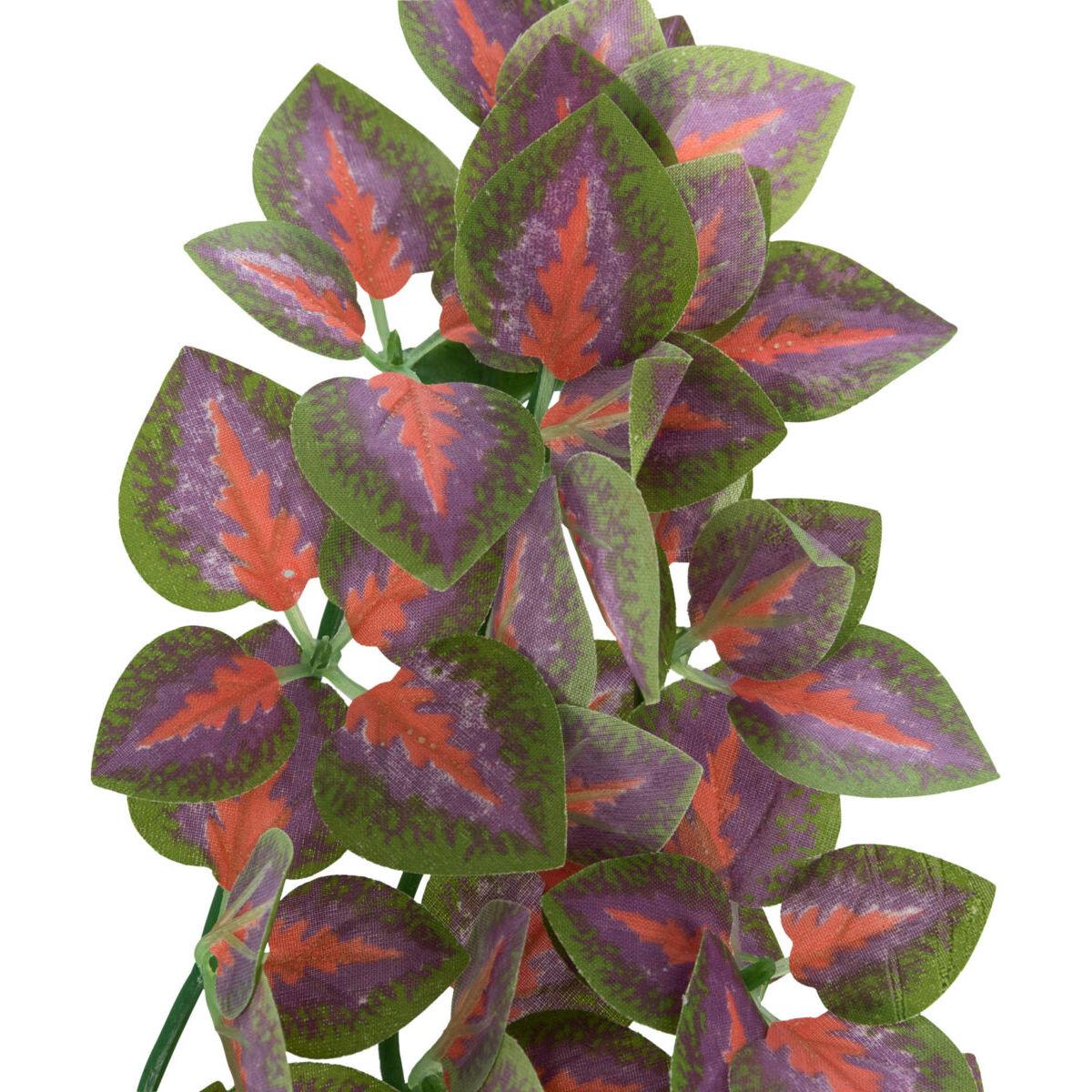 product/t/r/trixie_76244_violet-vert_2.jpg
